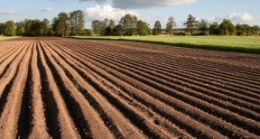 Vente de la nue-propriété et de l’usufruit d’un bien agricole