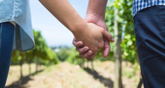 Conjoint repreneur d’une exploitation agricole : sur quelle base allez-vous cotiser ?