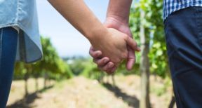 Conjoint repreneur d’une exploitation agricole : sur quelle base allez-vous cotiser ?