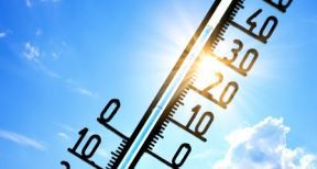 Épisodes de canicule : comment protéger vos salariés ?