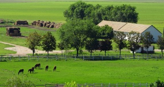 Baux ruraux : nouvelle baisse de l’indice national des fermages