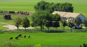 Baux ruraux : nouvelle baisse de l’indice national des fermages