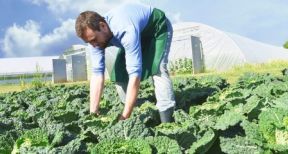 Un guide pour évaluer la pénibilité en agriculture