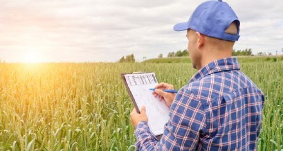 Droit de préemption de la Safer : gare aux faux démembrements de propriété !
