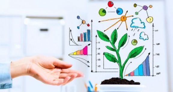 Plus-value de cession de titres d’une jeune PME