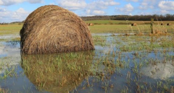 Assurance récolte : les taux de subventions sont fixés pour 2018