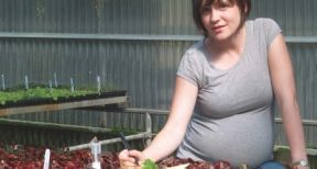 Cotisation Amexa des exploitants agricoles