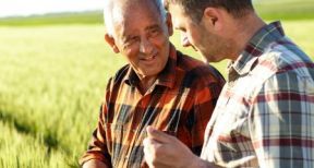 Gaec et contrôle des structures : la transparence joue à plein !