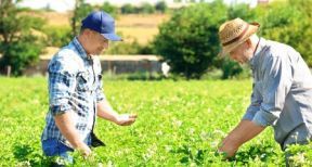 Exonération fiscale des biens ruraux loués à long terme