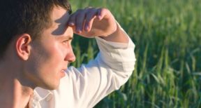 Vers une modification de la fiscalité agricole