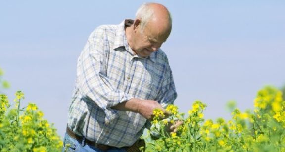 Salariés agricoles : des cotisations de retraite complémentaire plus élevées en 2019