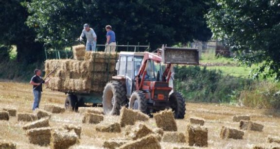 Entreprises agricoles : une réduction des cotisations patronales plus généreuse