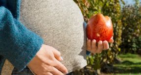 Exploitantes agricoles : un congé de maternité amélioré