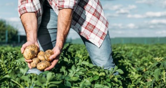 Exonération de cotisations pour les travailleurs occasionnels agricoles