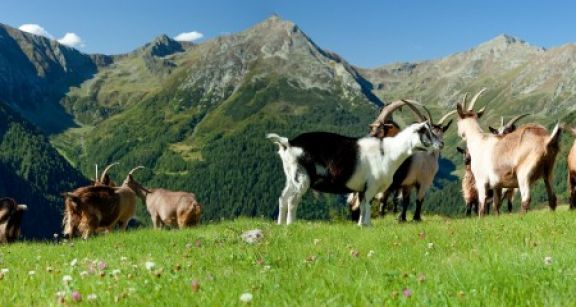 Nouvelle délimitation des zones agricoles défavorisées