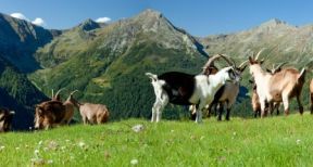 Nouvelle délimitation des zones agricoles défavorisées