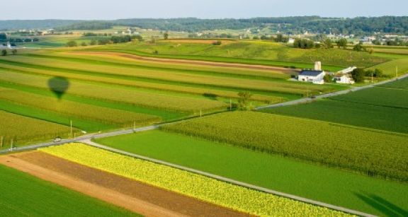 La Safer doit suffisamment motiver ses décisions de rétrocession !