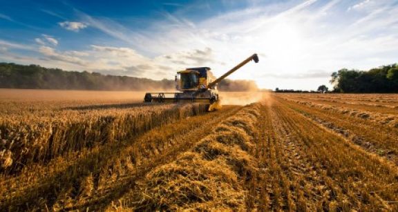 Bail rural : quand les usages agricoles s’appliquent