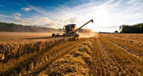 Bail rural : quand les usages agricoles s’appliquent