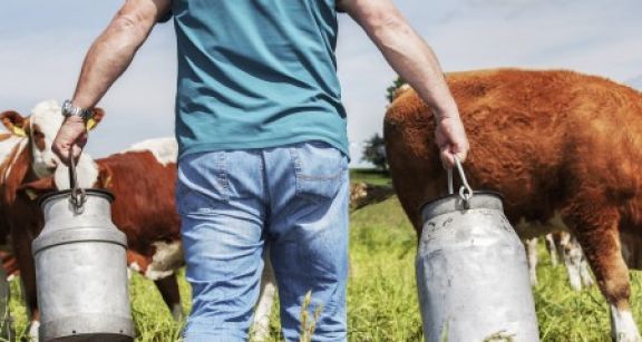 Mise à disposition de parcelles : gare à la requalification en bail rural !