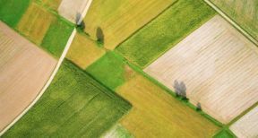Le marché des terres agricoles en 2018