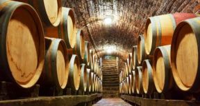 Agriculteurs : l’option pour le blocage des stocks à rotation lente