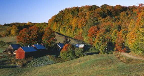 Quand la Safer ne peut pas préempter un ensemble...