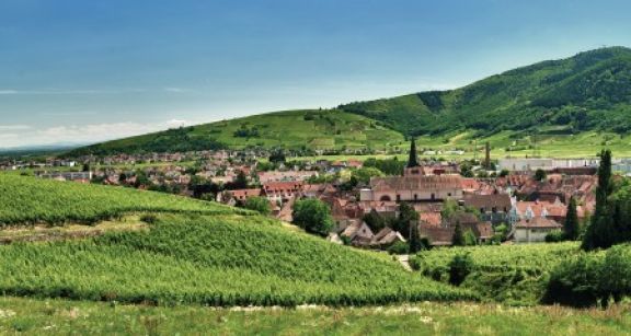 De nouvelles exonérations d’impôts locaux pour les commerces de proximité