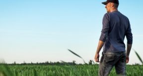 Gare à la cession, même partielle, du bail rural !