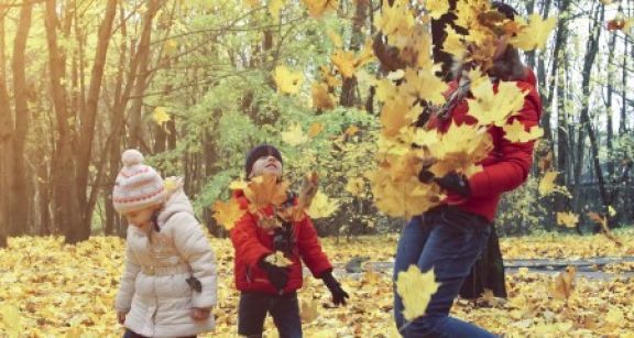 Quant aux jours fériés du mois de novembre…