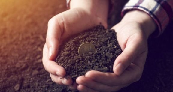 Versement des aides Pac 2019 : prenez date !