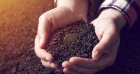 Versement des aides Pac 2019 : prenez date !