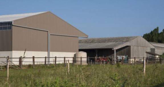 Indemnisation d’un agriculteur en fin de bail : gare au respect des conditions requises !