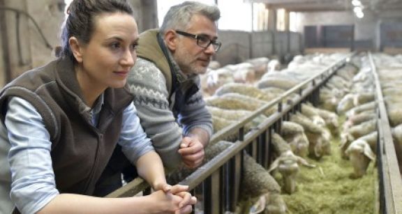 Conjoint travaillant sur l’exploitation agricole : déclaration obligatoire !