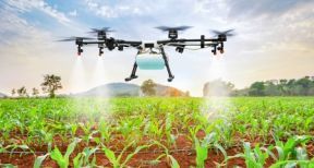 L’épandage de pesticides par drone : à quelles conditions ?