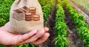 En 2017, les agriculteurs ont gagné, en moyenne, 1 650 € par mois