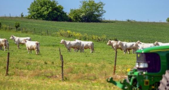 Fiscalité agricole : quelles sont les nouveautés pour 2020 ?