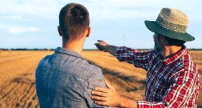 Cession du bail rural : gare au respect des conditions requises !