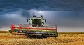 Assurance récolte : les taux de subventions sont reconduits pour 2020