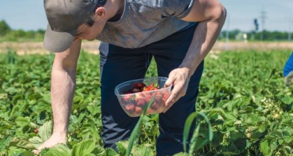 Travailleurs occasionnels : quelle exonération de cotisations sociales ?