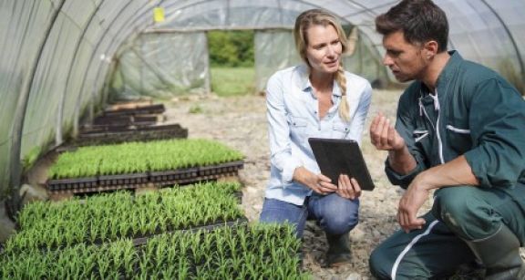 Un report du paiement des cotisations sociales pour les agriculteurs