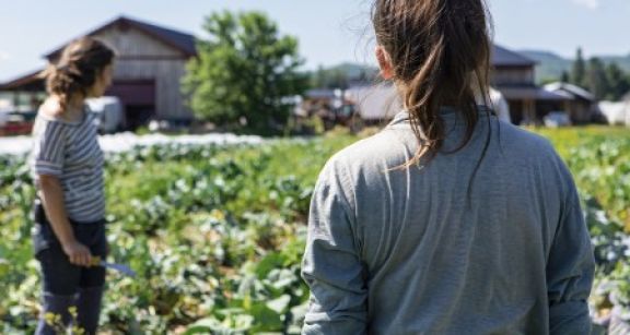 L’agriculture a besoin de bras