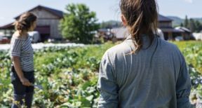 L’agriculture a besoin de bras