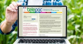 Agriculteurs : un délai supplémentaire pour faire votre déclaration Pac !
