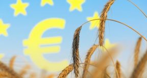 Versement des aides Pac 2020 : prenez date !