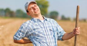 Agriculteurs : dans quel délai déclarer un accident du travail ?