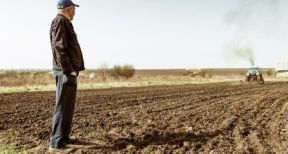Refus de renouvellement d’un bail rural à long terme à un locataire âgé