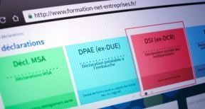 Non-salariés : il est temps de transmettre la DSI