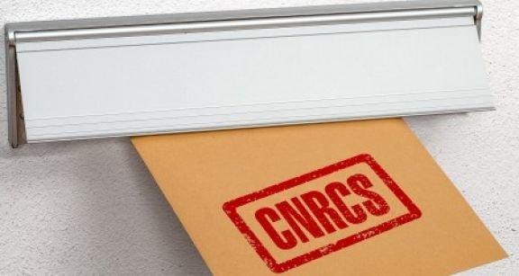 Création d’entreprise et immatriculation au RCS : attention aux arnaques !