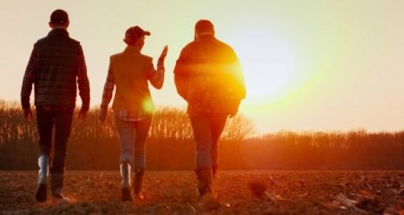 Exploitants agricoles : option pour l’assiette annuelle des cotisations sociales